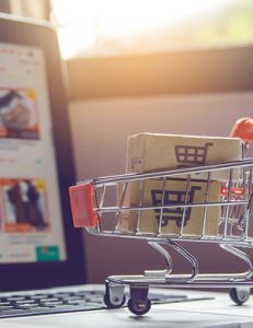 ecommerce-231x300