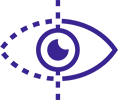 vision-ico