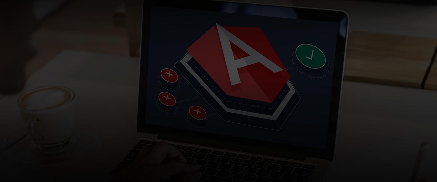 AngularJS Development Services Company
