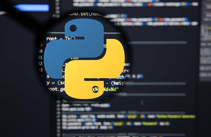 dedicated python programmers 3