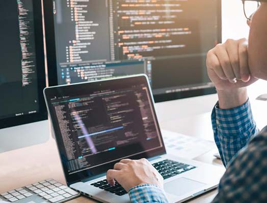 dedicated python programmers 2