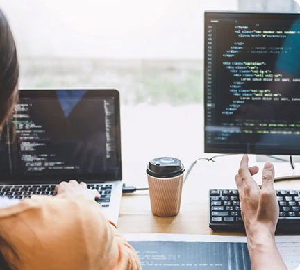Web Services Page- BinaryMetrix